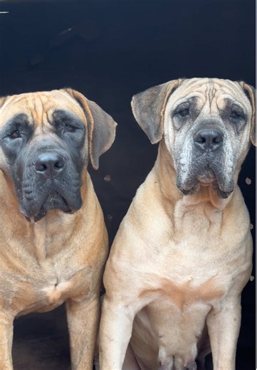 Effective Remedies for Ear Infection Relief