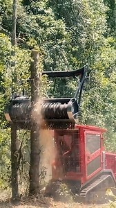 Want fine mulch❓ Here’s how it’s done ✅ The 𝗚𝗿𝗶𝘇𝘇𝗹𝘆 𝗠𝟰𝟱𝟬𝘀 delivers powerful mulching for 70-180 hp skid steers, effortlessly handling material up to 12 inches (30 cm) thick 🪵 Credits: Quality Equipment & Parts, Inc. 🎥 #Prinoth #GrizzlyM450s #prinothvegetationmanagement | Prinoth Vegetation Management