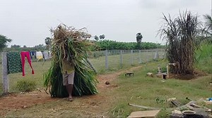 Suzuki Karthi Karthi on Reels