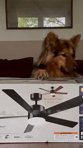 188K views · 1.1K reactions | ✨ Comfort meets smart living. Globe's Smart Ceiling Fans bring style, function, and control right to your fingertips. Change the light color, adjust the fan speed, and set schedules — Approved by Maki  Only at Lowe's | Globe Electric | Facebook