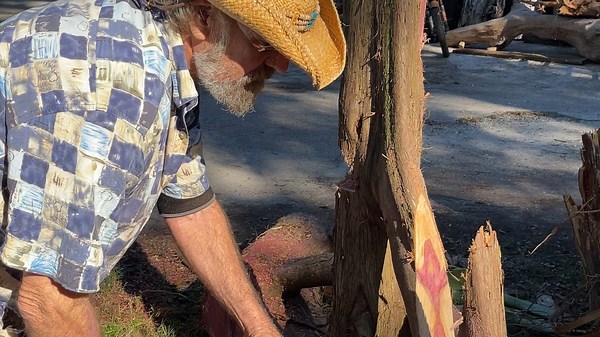 Using a chainsaw to turn hurricane debris into beautiful art