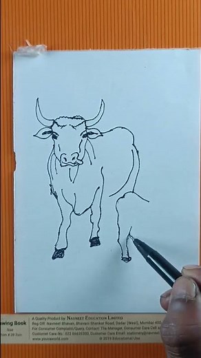 simple line drawing very easy