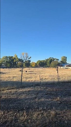 Crisp fall morning in Klamath Falls, Oregon.