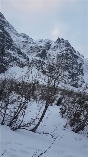 Conditions in the Tatra Mountains 31/01, Morskie Oko #tatry #shorts