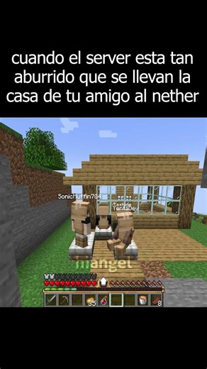 cuando el server esta tan aburrido que se llevan la casa de tu amigo al nether