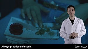 WATCH: How to Use Weed as Safely as Possible