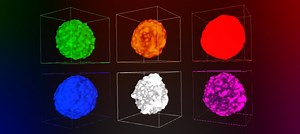 A Virtual Flight Through a Catalyst Particle Finds Evidence of Poisoning