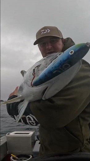 Leith Main x Daiwa 26 Certate SW