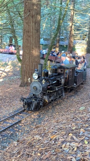 Tilden Park Steam Trains on Instagram: "All aboard! 🚂 The Tilden Park Steam Train is located in the Bay area of northern California. The train operates weekends all year. Come up for a ride! 🌞🌲 . #trains #berkeley #bayarea #familyadventures #steamtrain #railroad #railway #familytime #history #outdoors #livesteam #parks #railroads"