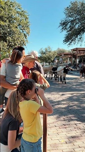 Inside the Fort Worth Stockyards