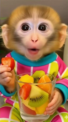 🐵✨ El monito más tierno disfruta su frutita con una sonrisa 🍓🥝💚