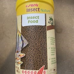 What to Feed Discus Fish: Complete Feeding Guide for Healthy Growth & Colour - OzDiscus