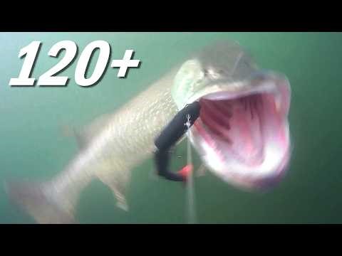 120+ cm Giant Pike Caught on Underwater Camera !