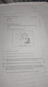 26Life Sciences revision booklet 2020Grade 12. Term 31.1 Id... | Filo