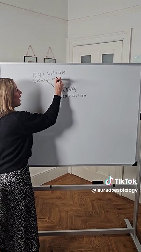 Understanding DNA Replication in A Level Biology