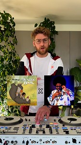 The Bare Necessities x Crazy Rap (Colt 45 & 2 Zig Zags) #mashup #Afroman #junglebook #Baloo | DJ Hampster Dance