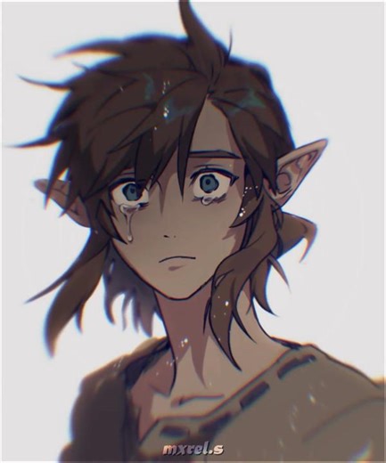 plot twist: link is actually crying because of how half assed zeldas animation is || art cred: EatUpAll__ (twt) #mxrels #foryoupage #edit #aftereffects #ae #fyp #tearsofthekingdom #legendofzelda #totk #breathofthewild