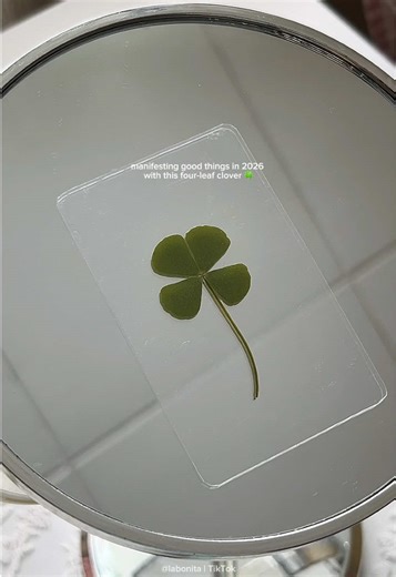 Manifesting Luck with a Four-Leaf Clover