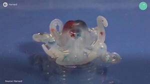 Harvard just developed the first entirely soft robot, and it looks like an octopus. | Science of Us