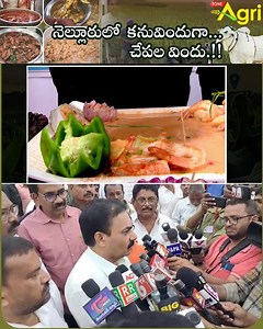 1.4K views · 22 reactions | Fish Andhra Fit Andhra to Setup Fish...
