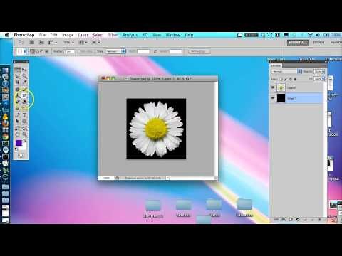 Make Transparent Background Photoshop