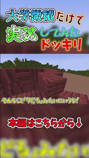 【ゆっくり実況】数学用語だらけのマイクラ実況_微積分編【Minecraft】【数学実況】【微積分】