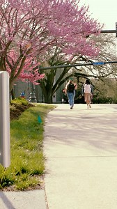 Getting into the swing of spring at JMU 🌸🔄📚 #JMU #Spring #GoDukes #College #JMU29 #JMUGrad #CampusLife | JMU