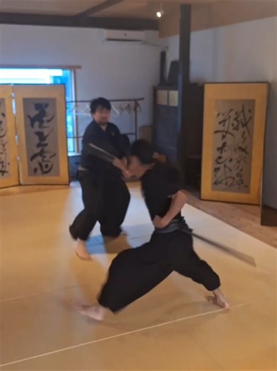 Iaido Challenge: Strike vs Draw Techniques Explained