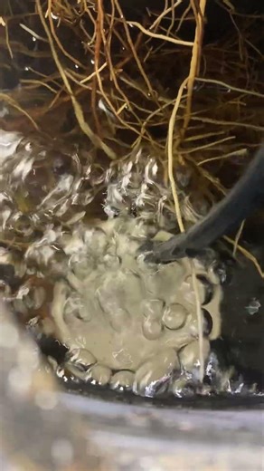 3d printed air stone for hydroponics