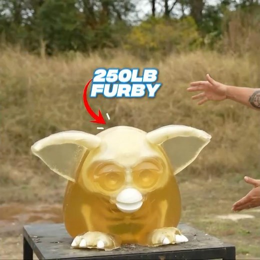 Kentucky Ballistics: Cattle Gun Vs 250LB Furby!