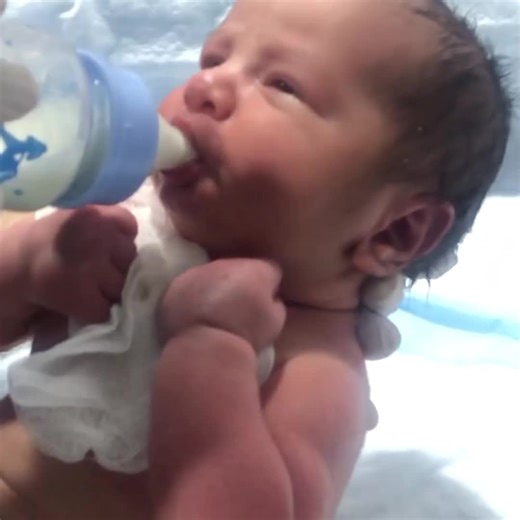 Cute Panda Baby Feeding: A Heartwarming Moment
