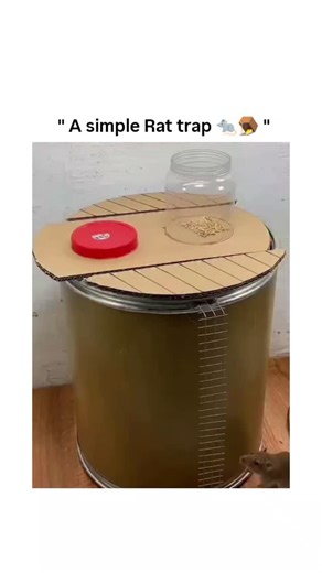 Trendtok | Viral Reels | It shows a super clever **DIY gravity-powered rat trap** made from simple stuff: a big plastic drum (or bucket), a pivoting cardboard... | Instagram