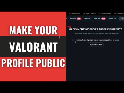 How to Make Your Valorant Profile Public in Tracker (Step by Step) 2025