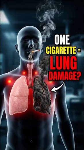What Happens Inside Your Body When You Smoke a Cigarette? 🚬