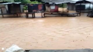 Please send what you can to help bonobos and the team protecting them. https://savebonobos.org/FloodRelief Severe flooding has put bonobos and dedicated team members at risk, but your support can make all the difference. Will you please send a special gift? Help the team recover from this emergency. We will share more details as they become known to us. #FloodRelief #SaveTheBonobos #Emergency | Friends of Bonobos