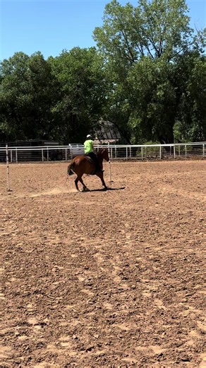 Swiper is available! Black Hawk, SD 2020 AQHA gelding Ropes, sorts cattle, barrel races, pole bends, gymkhana, trail rides, pony colts, ride in town, you name it, he'll do it for you. Contact me for information! ❄️ #ranchhorse #barrelhorse #forsalenotonsale