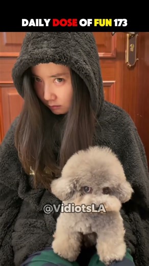 Ranking Animals Imitating Humans 🐓 🐱 😹