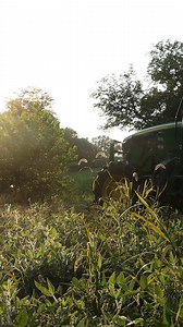 Another weekend of whitetail work complete 🦌 | Cuddeback Digital