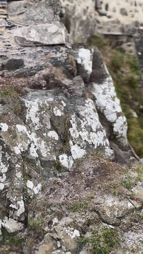 Built to protect. #duartcastle #isleofmull | Duart Castle Isle of Mull