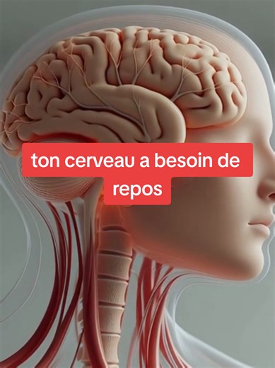 Comment agir face à la grippe en France