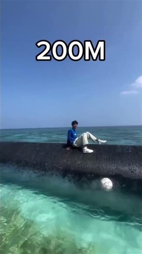 #mlmsoftwaredeveloper #digitalmarketing #mlmsoftware #mlmbusiness