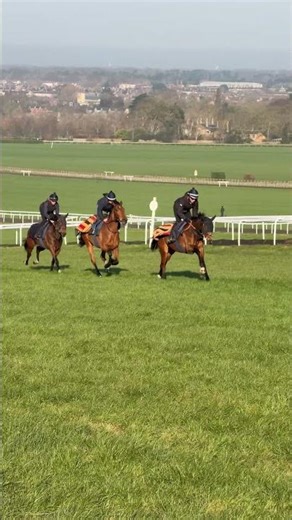 Why some syndicates grow fast, and others stay stuck