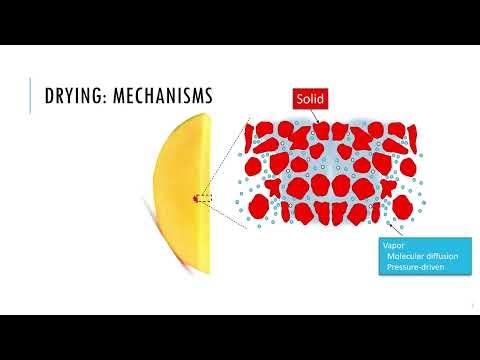 Food Physics: Applications: Air Drying (Part 1 of 5)