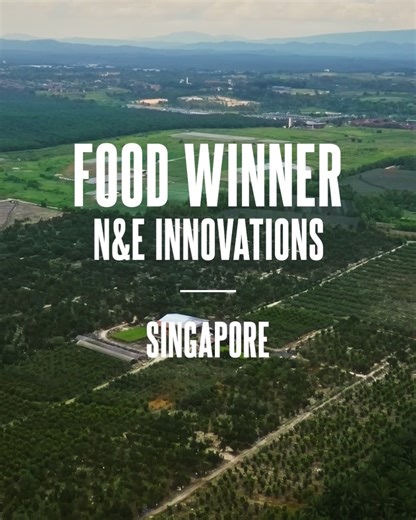 Congratulations to N&E Innovations from Singapore for winning the Zayed Sustainability Prize Food category! Their breakthrough biodegradable antimicrobial packaging and coatings extend shelf life while cutting waste at the source. Made from upcycled food waste and plant-based ingredients, their patented technology delivers 99.9% antimicrobial effectiveness and bacterial counts 4.5× lower than conventional materials. With 400,000 sustainable packs already in use and 80,000 people benefiting, they