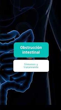 Obstrucción intestinal: ¿cuáles son las causas y las soluciones?