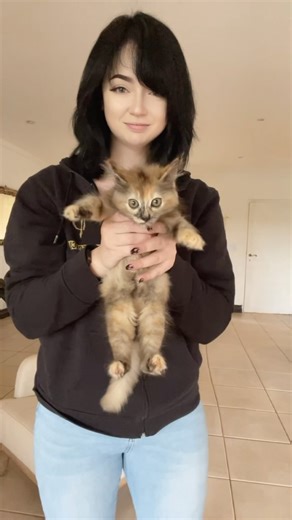 213K views · 1.2K reactions | 凉 • • #mabel #catsofinstagram #tiktok #ladywiththebendyface #sunbeams☀️ #keepsmiling #catmom | crystal_g.katsini | Facebook