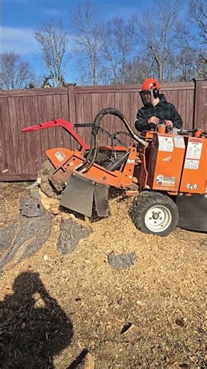Stump Grinding near Fence