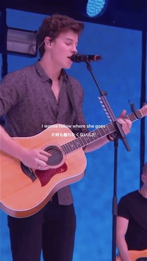 【There's Nothing Hold Me Back / Shawn Mendes】