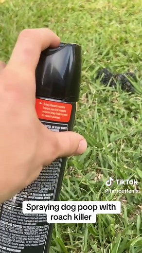 Surprising Dog Poop Prank with Roach Killer