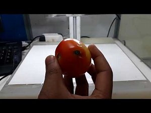 Camera Based Vision System for Fruit Sorting